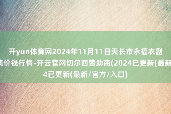 开yun体育网2024年11月11日天长市永福农副家具批发市集价钱行情-开云官网切尔西赞助商(2024已更新(最新/官方/入口)
