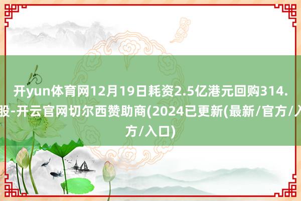 开yun体育网12月19日耗资2.5亿港元回购314.7万股-开云官网切尔西赞助商(2024已更新(最新/官方/入口)