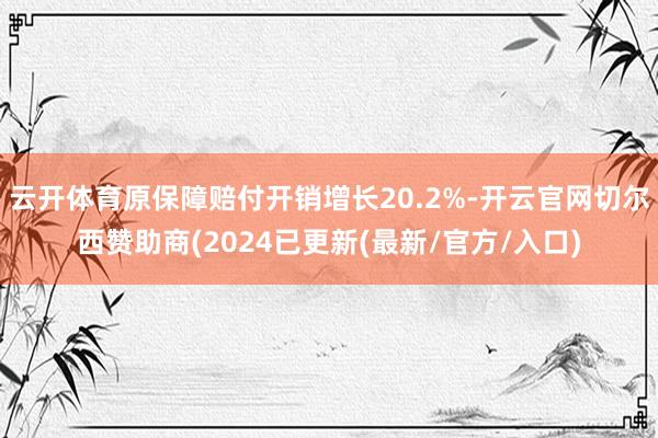 云开体育原保障赔付开销增长20.2%-开云官网切尔西赞助商(2024已更新(最新/官方/入口)