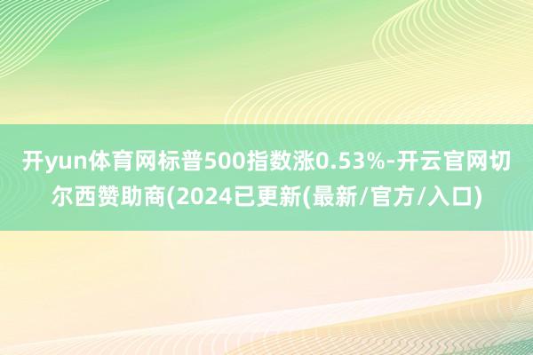 开yun体育网标普500指数涨0.53%-开云官网切尔西赞助商(2024已更新(最新/官方/入口)